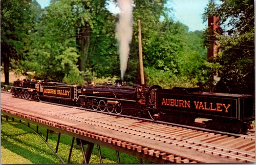 Magic age steam miniature - age,