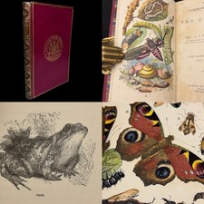The Common Objects of the