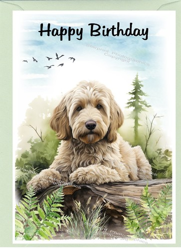 Labradoodle doodle dog 4 - labradoodle, /