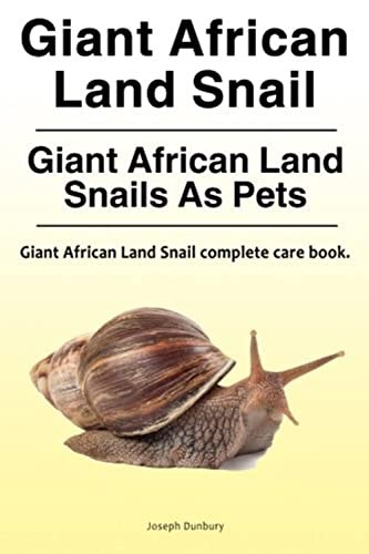 Giant african land snail - african,