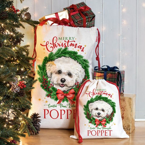 Bichon frise christmas - frise, sack
