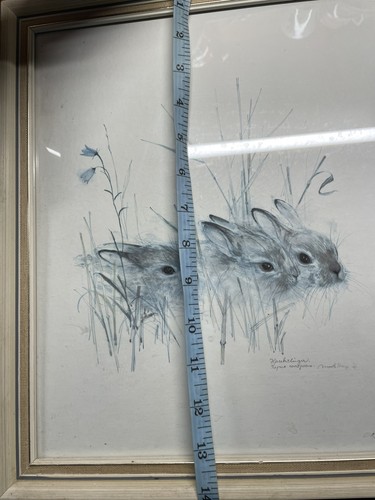 Acclaimed artist mads - acclaimed,