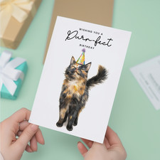 Tortoiseshell Cat Birthday