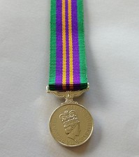 ACSM 2011 Miniature Medal