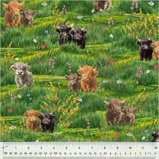 Fat Quarter Windham Highland