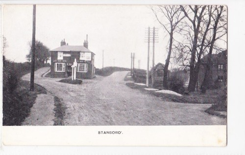 Stanborough the bull - stanborough,