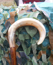 Full length shepherds