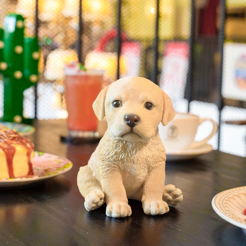Soreal brown labrador - soreal,