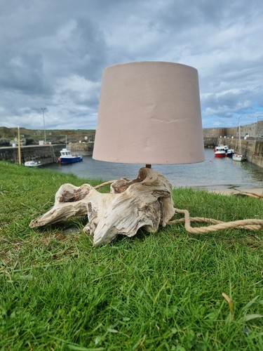 Driftwood table lamp - table,