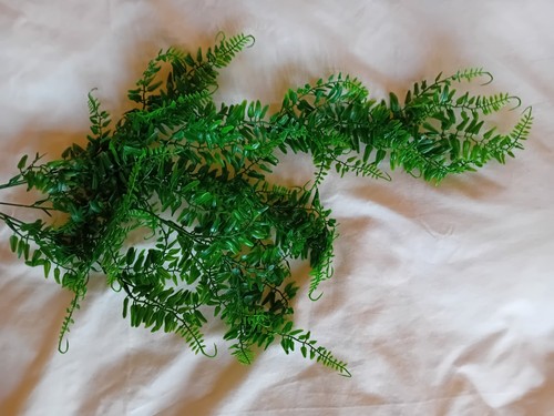 Artificial plastic fern - artificial,