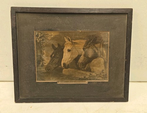 Antique herring three - j,