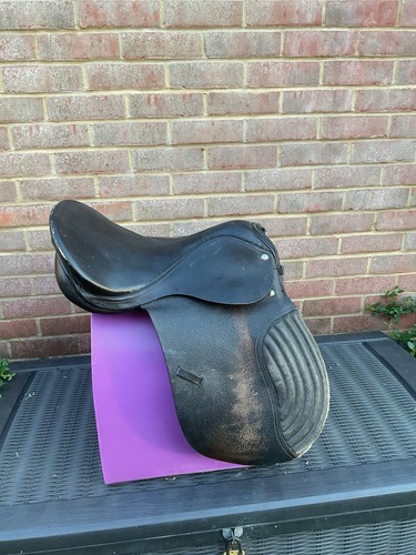 Equestrian horse general - equestrian,