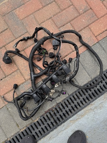 Ecu engine loom mk5 gti - ecu,