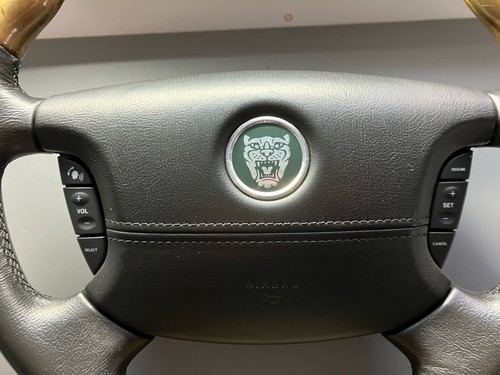 Jaguar type wood - jaguar, leather