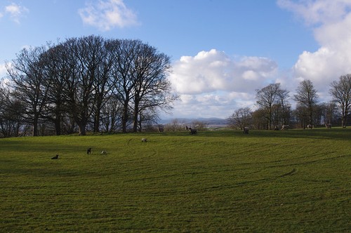 Photo 6x4 grazing land - photo,