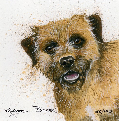 Border terrier dog fine art - border,