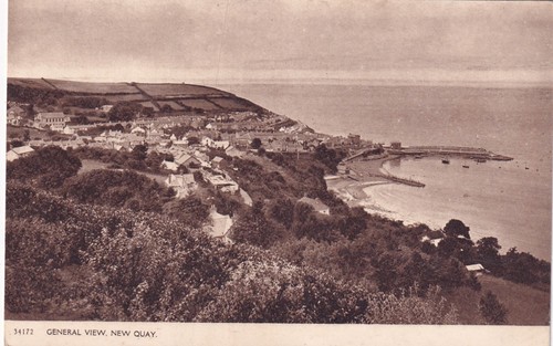New quay cei - new, /