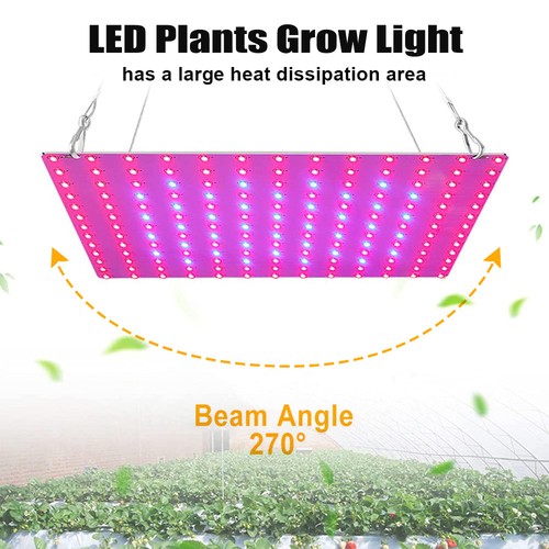 Led plant grow light - led, 81/169