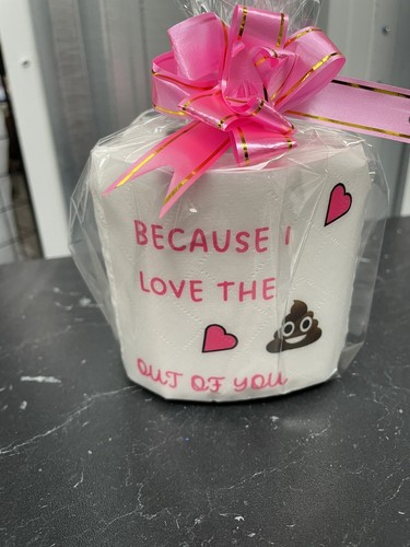 Valentine novelty fun toilet - valentine,