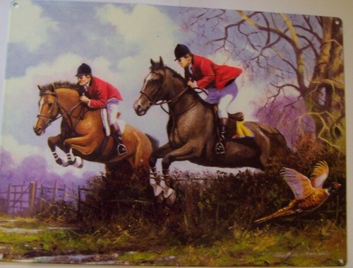 Cross country horse jumping - cross,