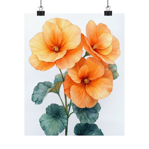 Boho orange begonias flower - boho,
