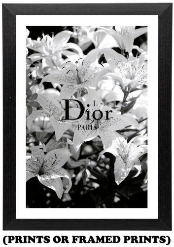 Lily flower designer art - lily,