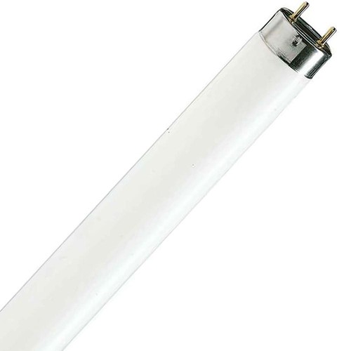 Fluorescent tube g13 - t8,
