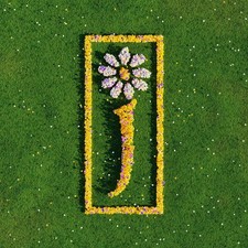 James - Nothing But Love  [VINYL]