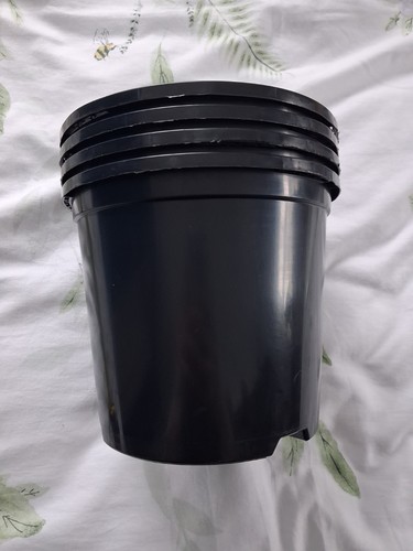 Black plastic plant pots - pots,