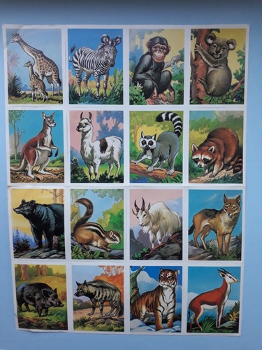 Vintage scraps wild - scraps, animals