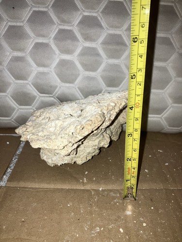 Rk11 unique 500g tonga - rk11,