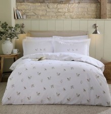 Sophie allport snowy owls - sophie,
