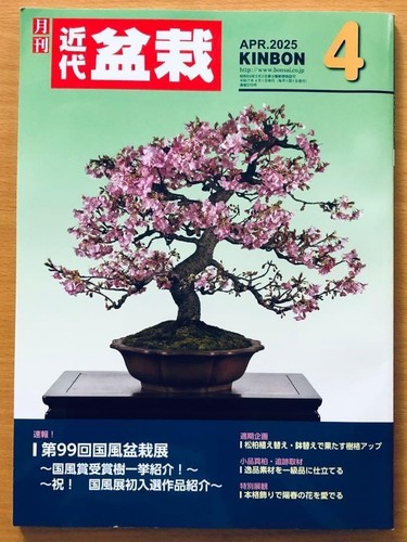 Kindai bonsai magazine - kindai,