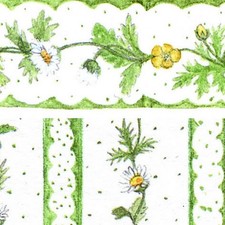 Small Interiors Daisy