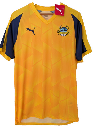 Yorkshire vikings cricket - yorkshire,