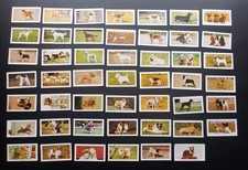 Hornimans Tea Cards DOGS