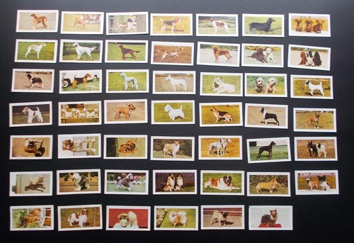 Hornimans tea cards - hornimans,