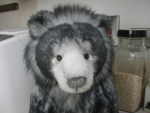 Charlie bears anthony with - bears,