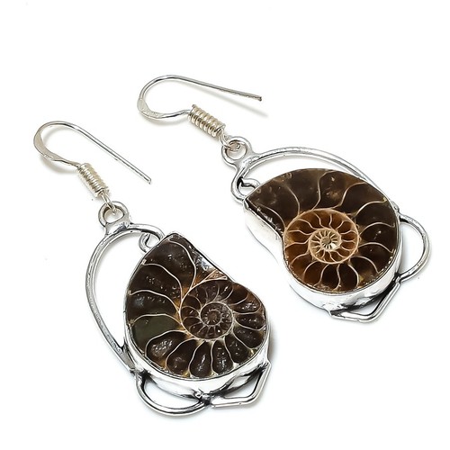 Natural ammonite fossil - ammonite,
