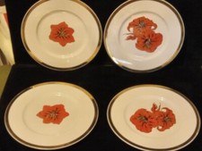 Vintage Crate & Barrel? Amaryllis plates by Servis Set of 4