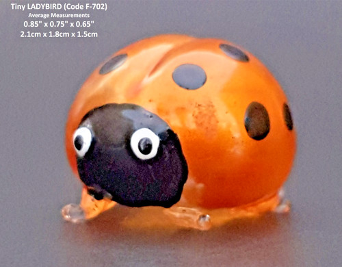 Miniature glass insect - miniature,