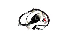 Wiring loom thumpstar road - wiring,