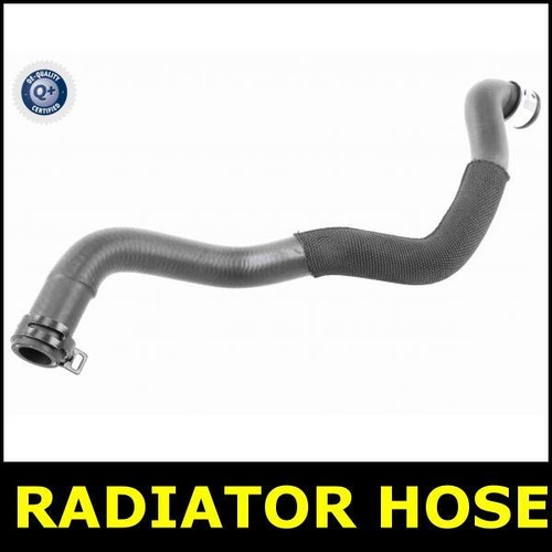 Radiator hose right for - hose, c204