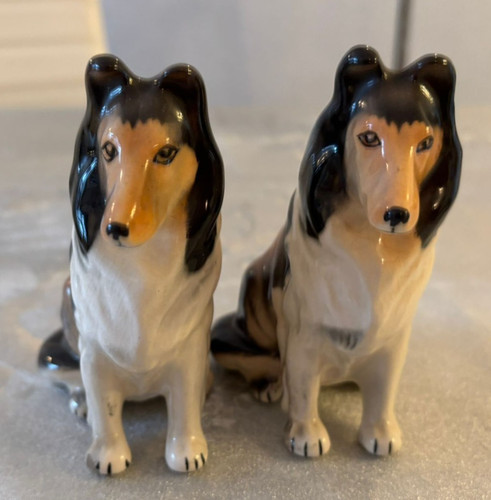 Pair rough haired - pair,