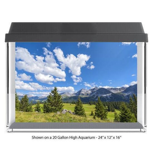 Mountain meadow fish tank - fish,