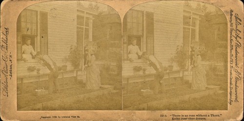 Victorian stereoview comedy - stereoview,