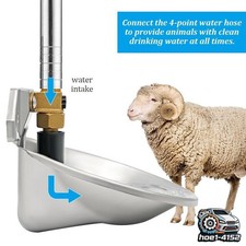 Stainless Steel Auto Water