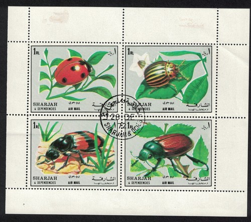 Beetles sheetlet def - beetles, 4