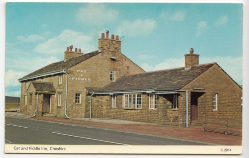 Cheshire cat fiddle inn ppc - fiddle,