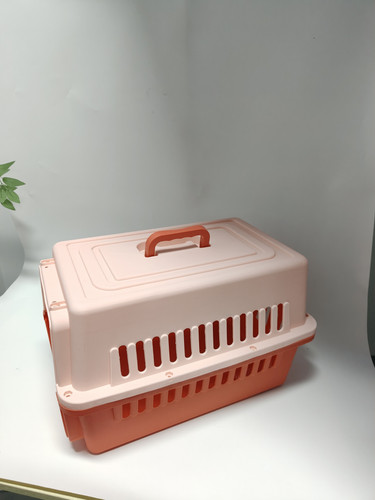 New large pet - pet, cat